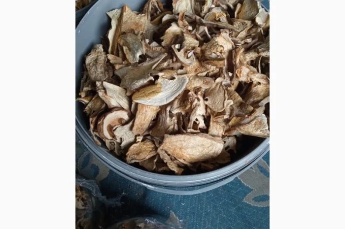 Продам білі гриби, Вирощені в Карпатах, червень 2024- фото № 2