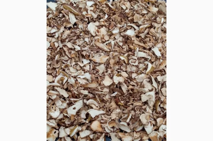 Продам білі гриби, Вирощені в Карпатах, червень 2024- фото № 3