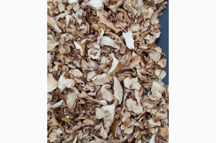 Продам білі гриби, Вирощені в Карпатах, червень 2024- фото № 5