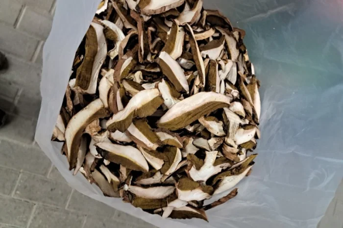 Продам Білий гриб сушений- фото № 1