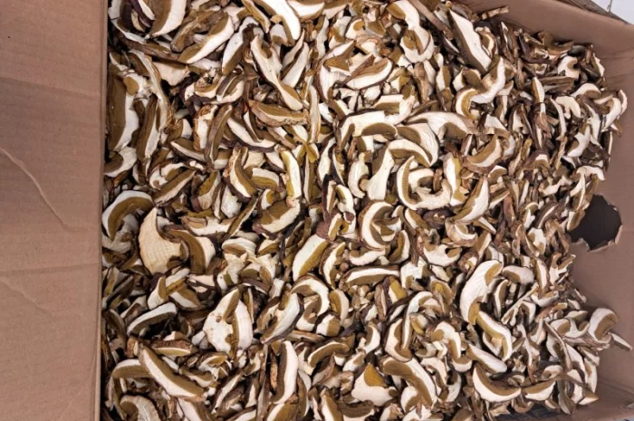 Продам Білий гриб сушений- фото № 2