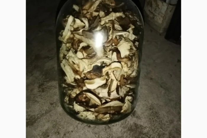 Білий гриб сушина- фото № 1