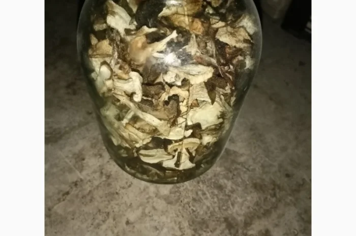 Білий гриб сушина- фото № 2