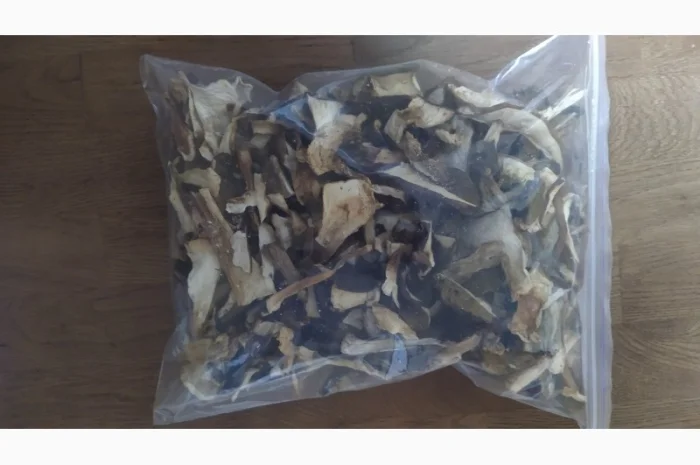 Продаю сухі білі гриби- фото № 1