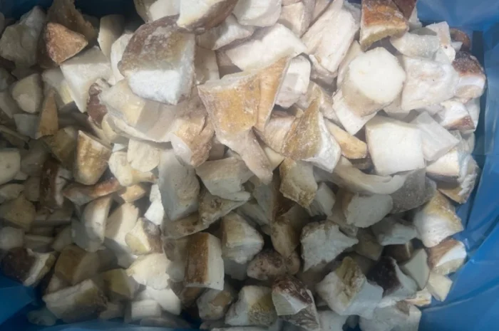 Продам білі гриби врожай 2023 року- фото № 1