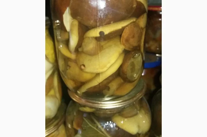 Продам сушені білі жовті та польські грибочки та мариновані білі і польські грибочки- фото № 2