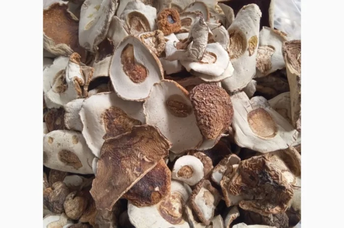 Куплю шапку білого гриба підберезовик- фото № 1