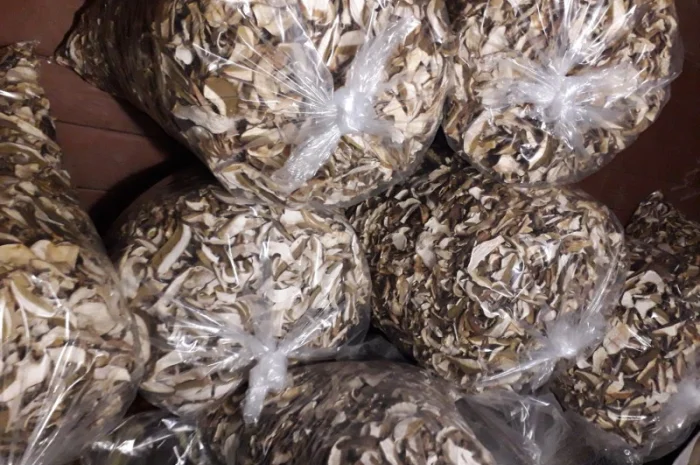 Сушені білі гриби карпатські 2022р- фото № 1