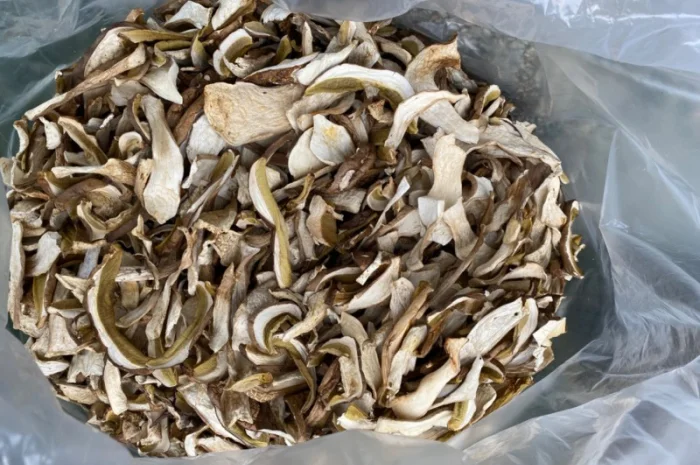 Сушені білі гриби карпатські 2022р- фото № 2