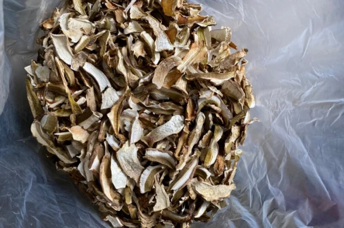 Сушені білі гриби карпатські 2022р- фото № 3