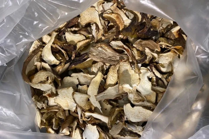 Сушені білі гриби карпатські 2022р- фото № 4