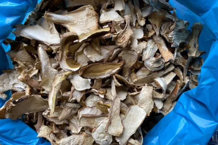 Гриби білі сушені 2023р Закарпаття- фото № 2