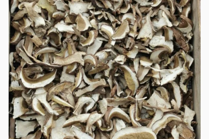 Білі гриби сушені + мариновані- фото № 1