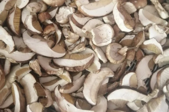 Білі гриби сушені + мариновані- фото № 2