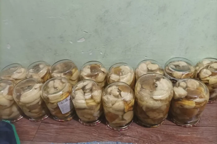 Білі гриби сушені + мариновані- фото № 5
