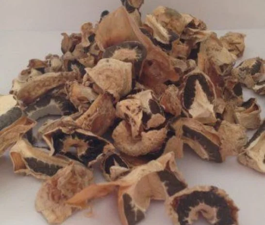 Сушеный гриб Веселка обыкновенная 25г- фото № 1