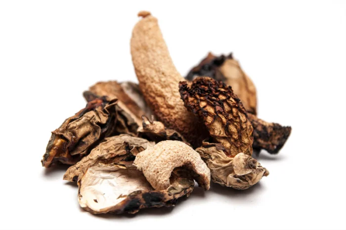 Сушеный гриб Веселка обыкновенная 25г- фото № 2