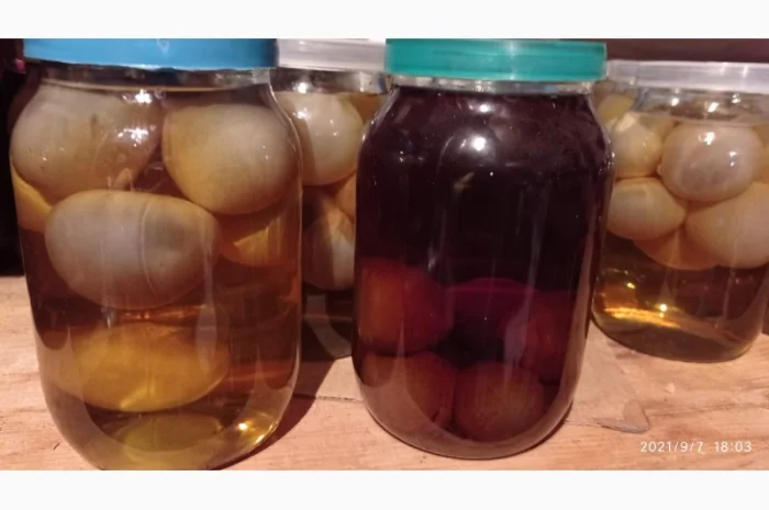 Гриб Веселка, настой- фото № 7