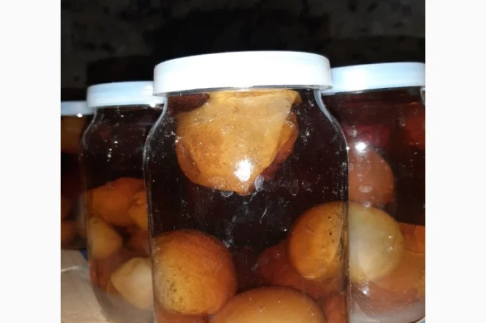 Продам гриб Веселка(Панна)- фото № 1