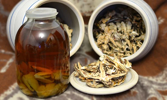 Гриб Веселка, Панна, Срамник, Дивна губа, Соромітник- фото № 2