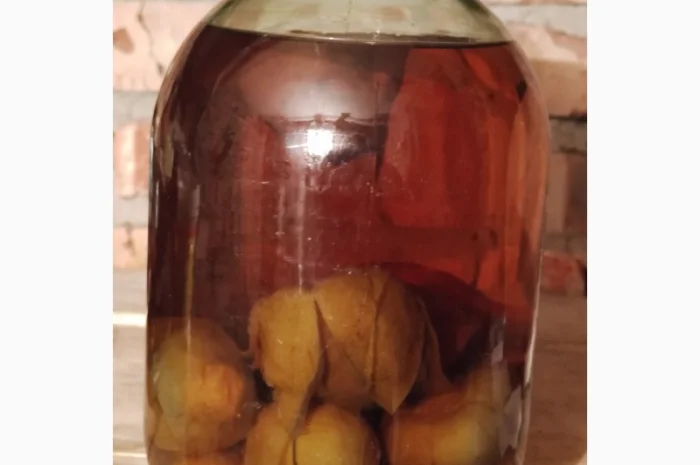 Настойка гриба Весёлки- фото № 2