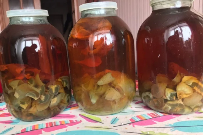 Продам гриб Веселку - 2024- фото № 1