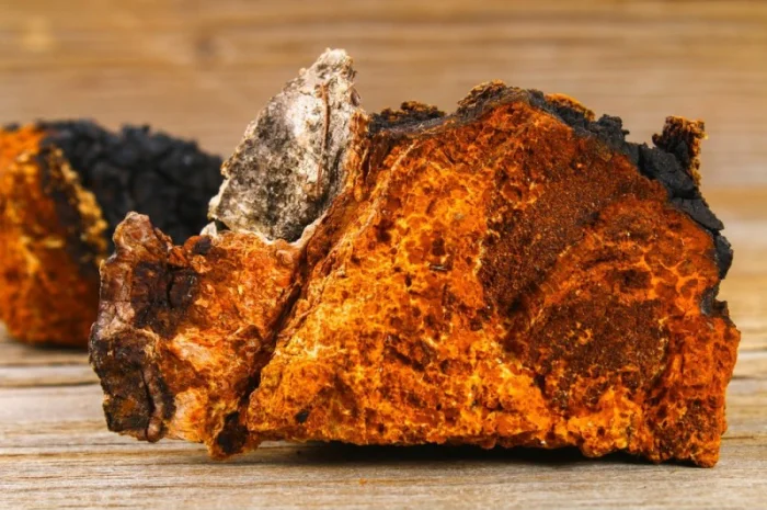 Гриб Чага в капсулах/ Рейши, Трутовик, Санхван- фото № 1