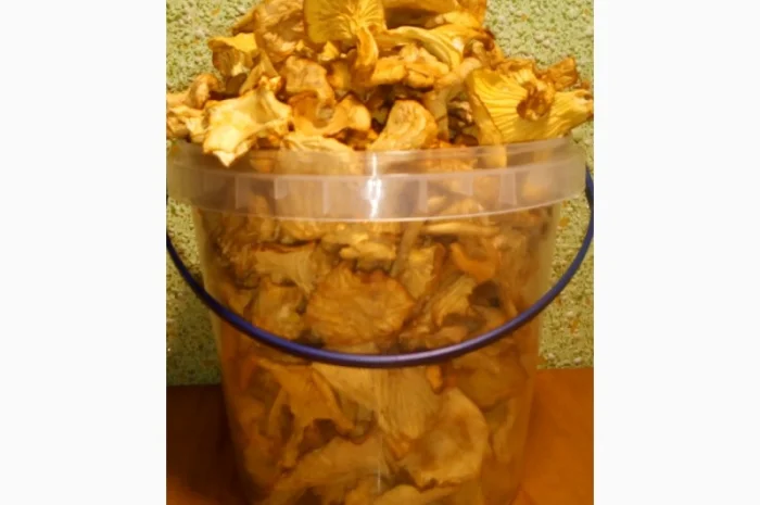 Сушені 35*C лисички гриби з Карпат- фото № 1