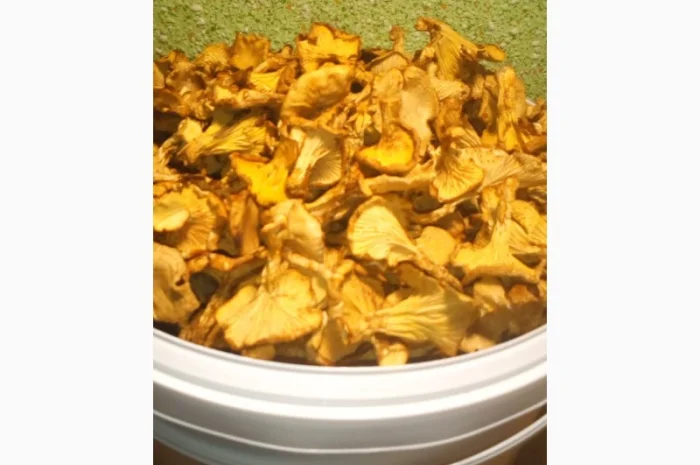 Сушені 35*C лисички гриби з Карпат- фото № 2