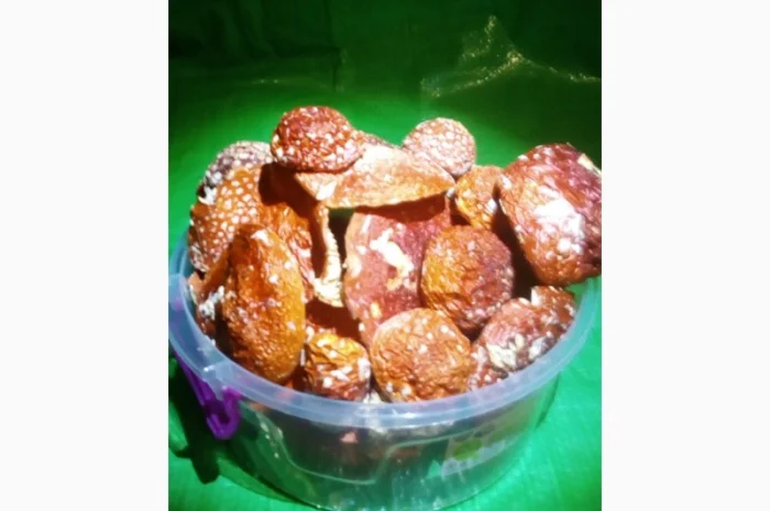 Мухомор червоний (красный): молоді шапочки сушені з Карпат- фото № 1