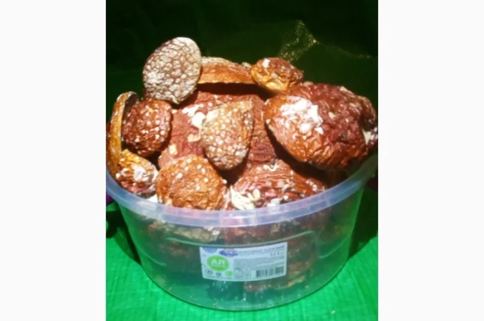 Мухомор червоний (красный): молоді шапочки сушені з Карпат- фото № 2