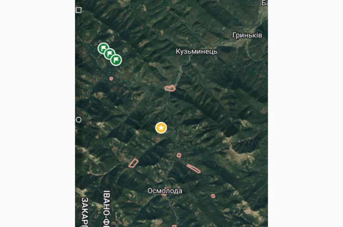 Мухомор червоний (красний) сушений шапочки з Карпат- фото № 6