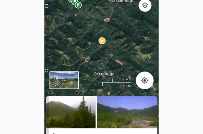 Мухомор червоний (красний) сушений шапочки з Карпат- фото № 7