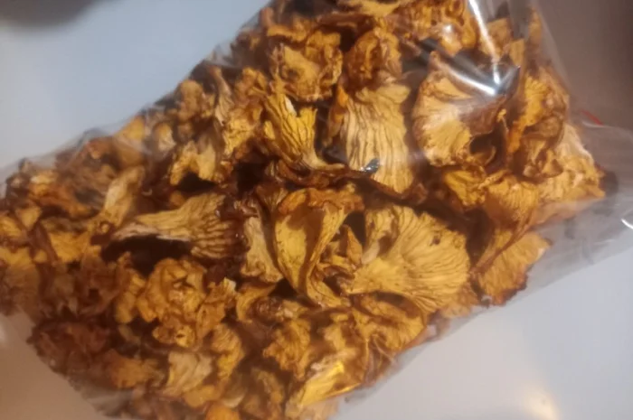 Лисички сушені урожай 2024- фото № 1