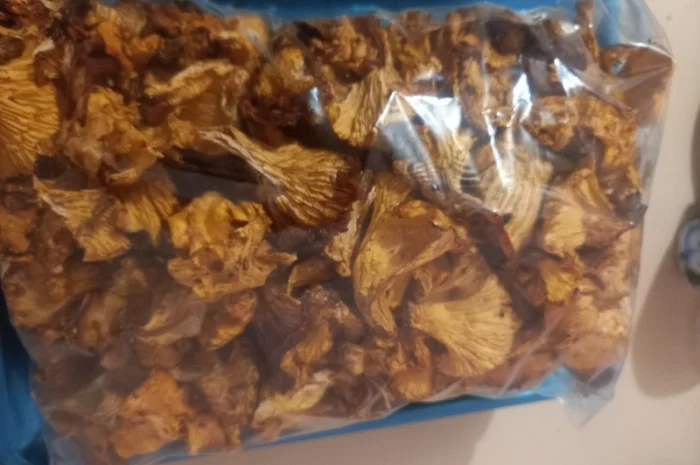 Лисички сушені урожай 2024- фото № 2
