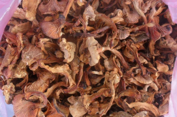 Лисички сушені- фото № 1