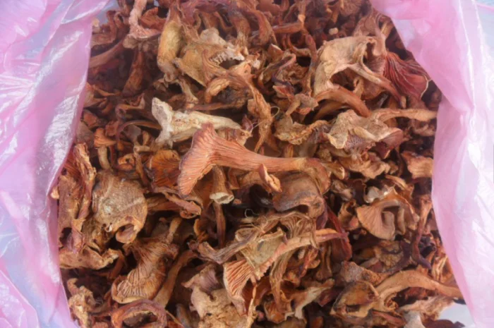 Лисички сушені- фото № 2