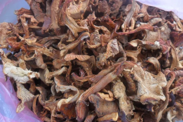 Лисички сушені- фото № 3