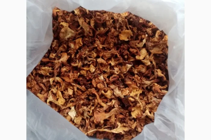 Продам сушену лисичку- фото № 1