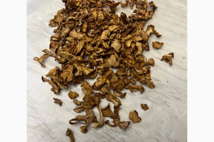 Продам сушену лисичку, збір 2023- фото № 1