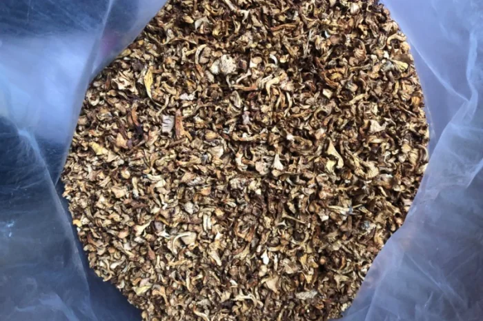 Продам сушену лисичку, збір 2023- фото № 2