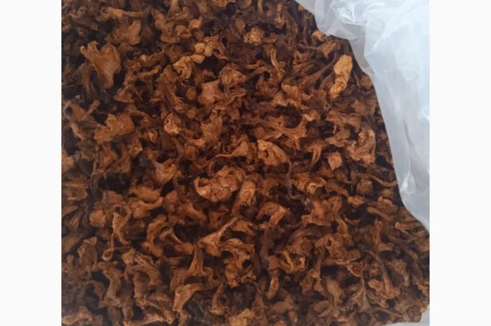 Продам сушену лисичку, урожаю 2023- фото № 2