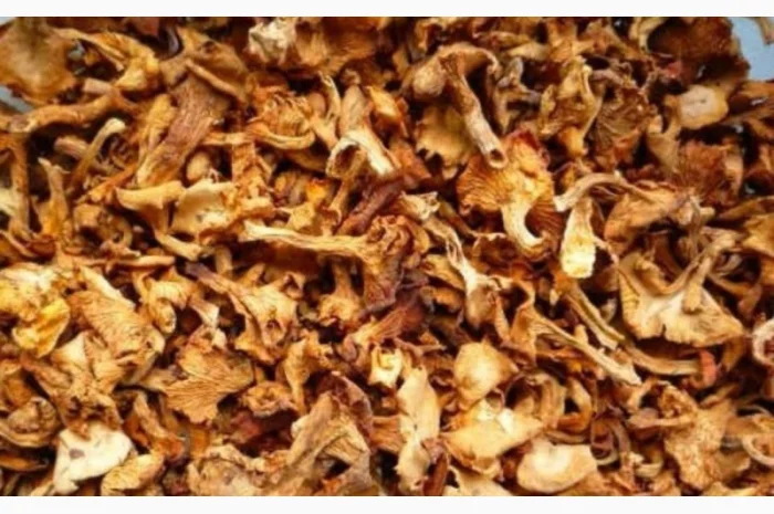 Продам Лисички сушені, якість хороша- фото № 3