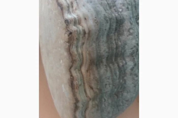 Продам трутовик справжній- фото № 2