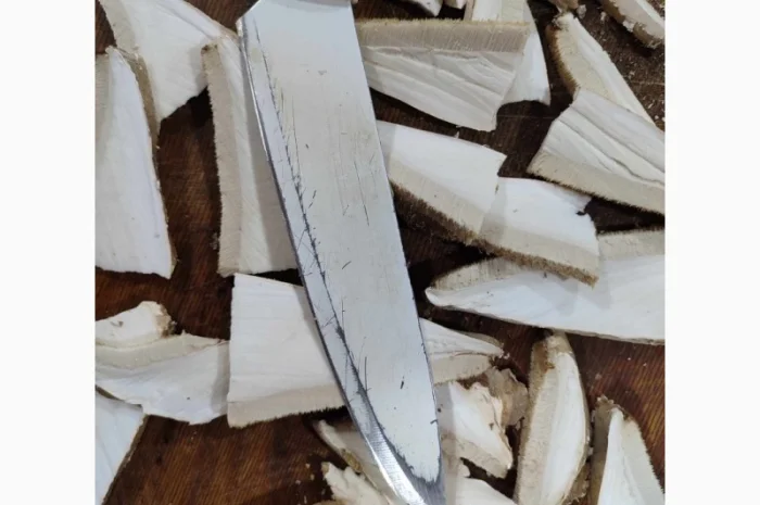 Продам трутовик березовий, або губку березову- фото № 2