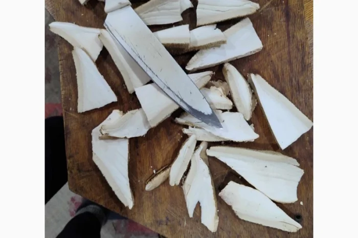 Продам трутовик березовий, або губку березову- фото № 8