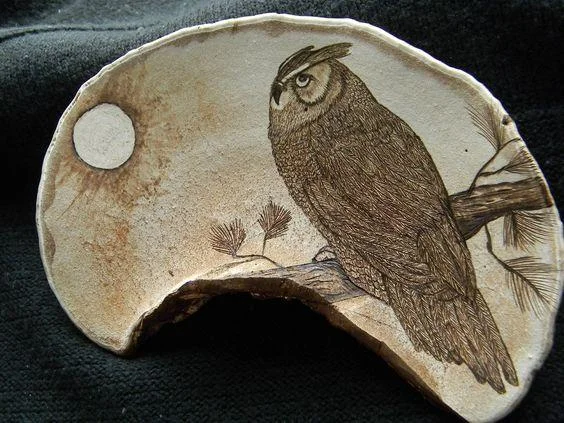 Продам трутовик плоский- фото № 6