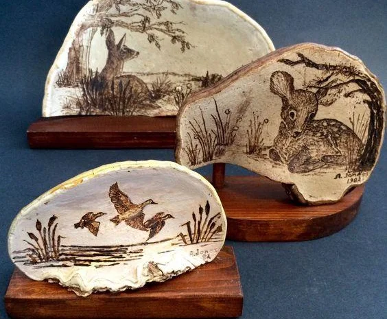 Продам трутовик плоский- фото № 7