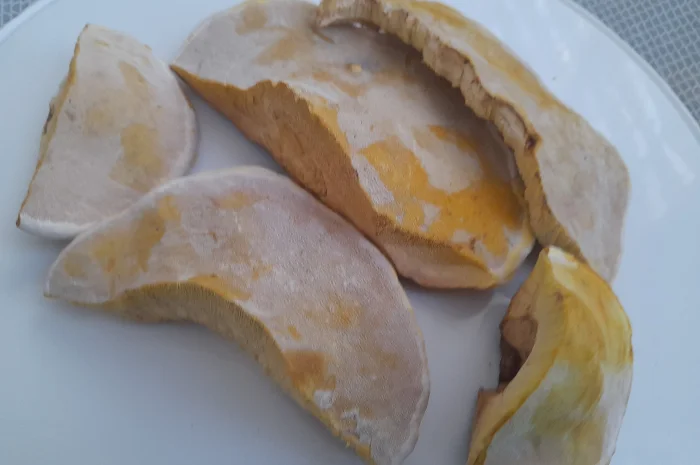 Трутовик облямований- фото № 2