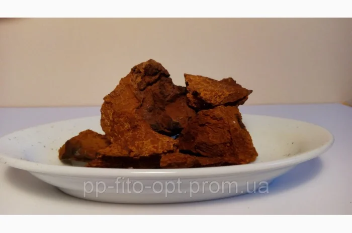 Продам березовый гриб чага 500 грам- фото № 1